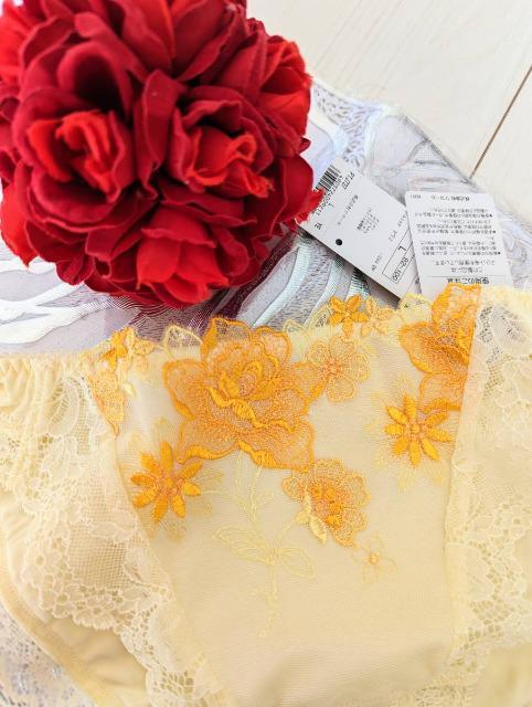 R[/salute/T[g/37G/Ah_//m[}V[c/X^_[hV[c/L/YE/PTJ737  t@bV 