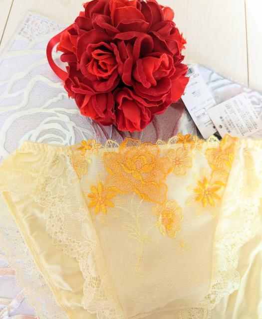 R[/salute/T[g/37G/Ah_//m[}V[c/X^_[hV[c/L/YE/PTJ737  t@bV 