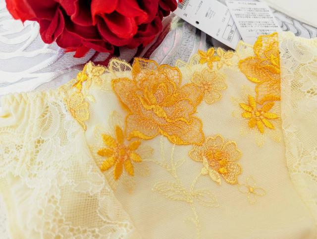 R[/salute/T[g/37G/Ah_//m[}V[c/X^_[hV[c/L/YE/PTJ737  t@bV 