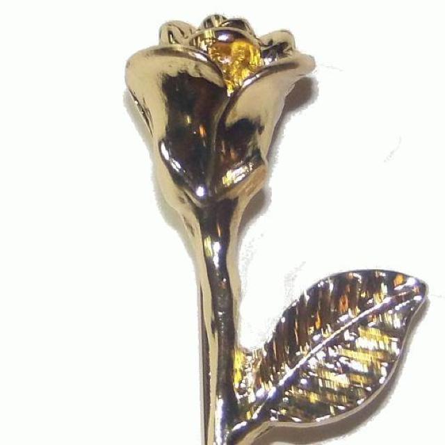 @ԁ@`[bv@ys@nbgs@F@S[hF  ANZT[/v 