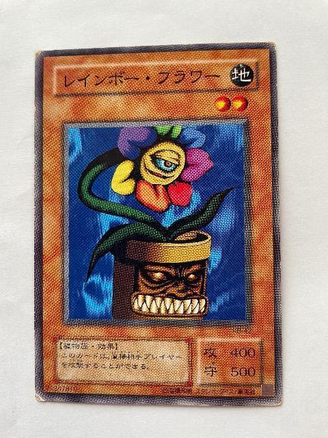 遊戯王【地・レインボーフラワー】 < トレーディングカード  遊戯王【地・レインボーフラワー】  < トレーディングカードの