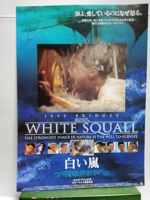 【映画チラシ】白い嵐 < CD/DVD/ビデオ  【映画チラシ】白い嵐  < CD/DVD/ビデオの