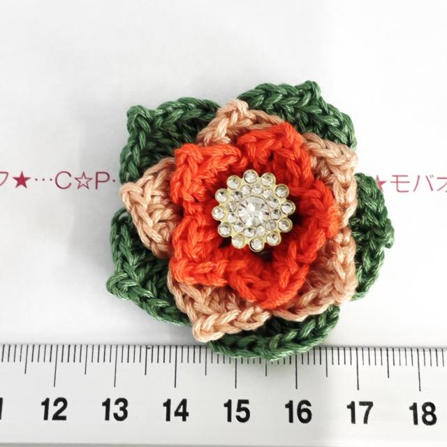 12*�n���h���C�h��|�C���Z�`�A���R�i���ԃ��`�[�t�@�K���X�r�W���[�@5 