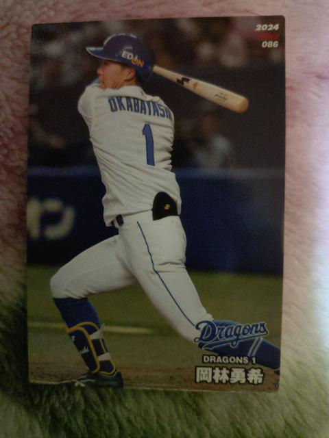 プロ野球チップスカード < トレーディングカード プロ野球チップスカード < トレーディングカードの