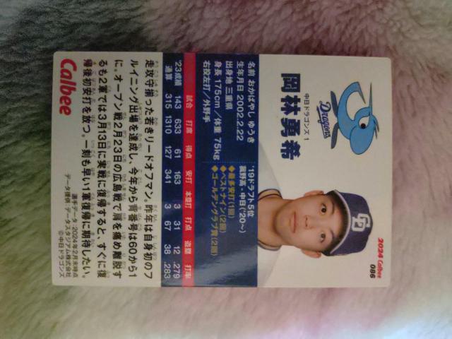 プロ野球チップスカード < トレーディングカード プロ野球チップスカード < トレーディングカードの