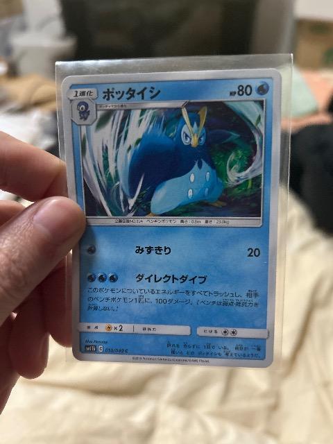 ポッタイシ < トレーディングカード ポッタイシ < トレーディングカードの