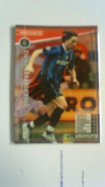 0607 WFW イブラヒモビッチ < トレーディングカード  0607 WFW イブラヒモビッチ  < トレーディングカードの