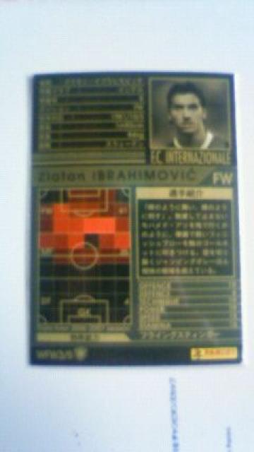 0607 WFW イブラヒモビッチ < トレーディングカード  0607 WFW イブラヒモビッチ < トレーディングカードの