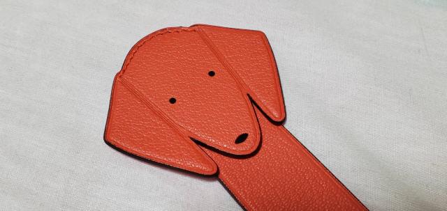 K Gx Ck ubN}[J[ Aj}A[gNbv A}\iS tU[hbO   uh 