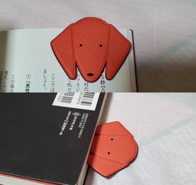 K Gx Ck ubN}[J[ Aj}A[gNbv A}\iS tU[hbO   uh 