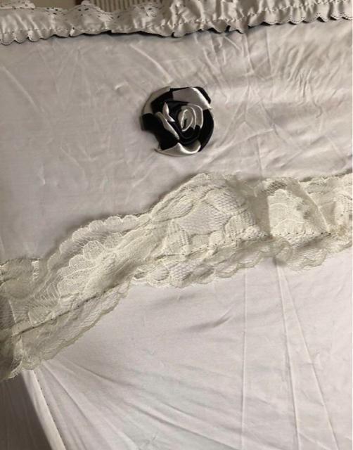 Ԃ̃`[tt@nԕ̐Jp܏P@IVȎP