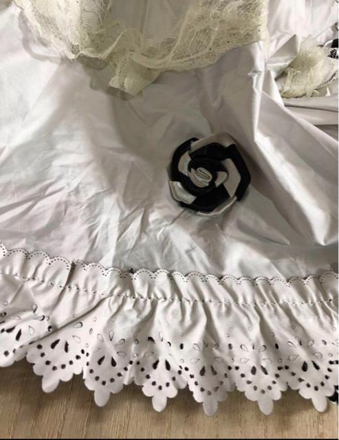 Ԃ̃`[tt@nԕ̐Jp܏P@IVȎP