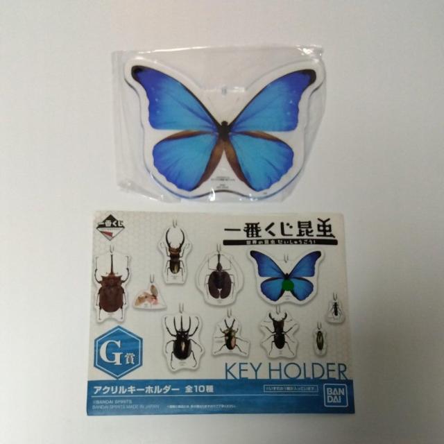 一番くじ 昆虫 世界の昆虫だいしゅうごう G賞 アクリルキーホルダー カキカモルフォ < アニメ/コミック/キャラクター  一番くじ 昆虫 世界の昆虫だいしゅうごう G賞 アクリルキーホルダー カキカモルフォ  < アニメ/コミック/キャラクターの