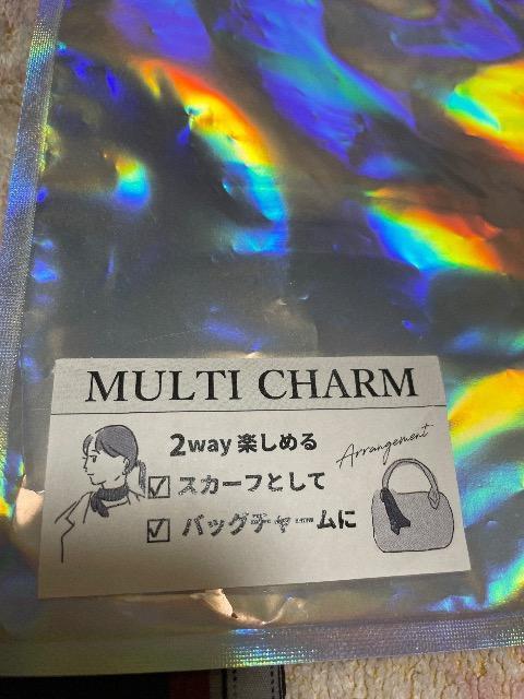 Vigp:MULTI CHARM:XJ[tobN`[