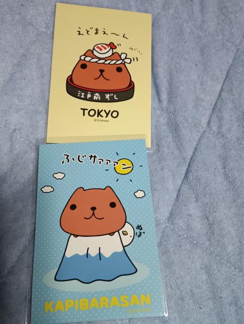 Jso|XgJ[h   Aj/R~bN/LN^[ 