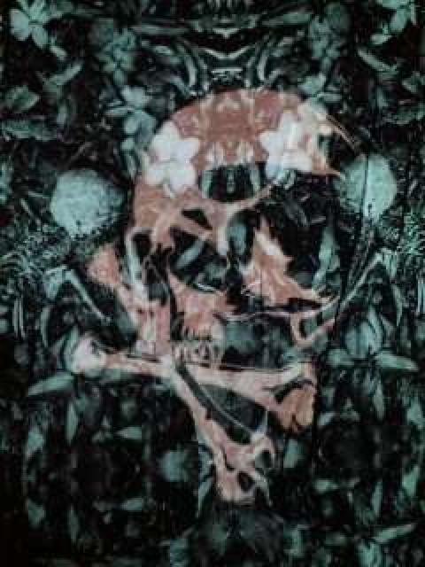 hydeViROENGXJvgC[h^N48   uh 