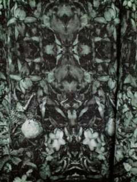 hydeViROENGXJvgC[h^N48  uh 