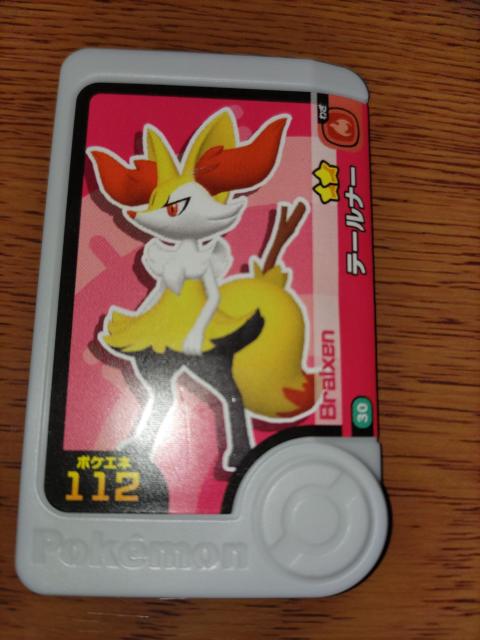 �|�P�����t�����_���e�[���i�[�����g�p 