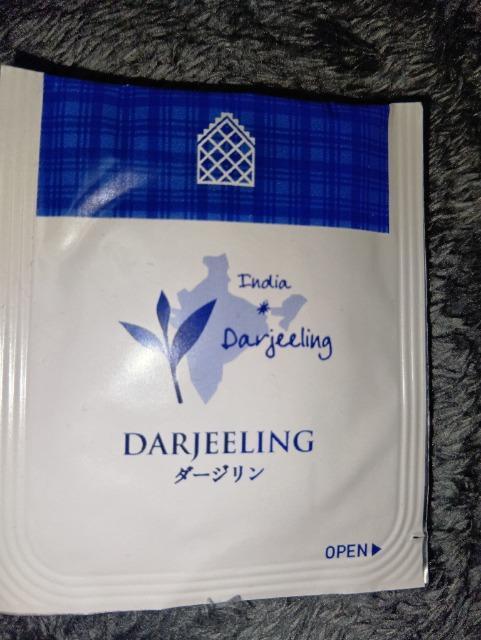 �g�����_�[�W�������e�B�[�o�b�O