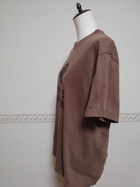 FRAMeWORK t[[NlCGULFCOAST SPORTSWEARʒTVciAPW[iX^_[h