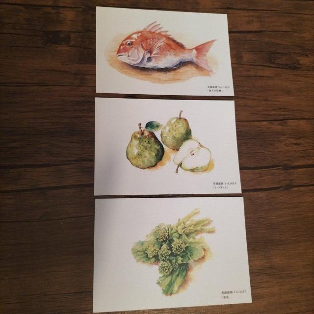 美感遊創 絵葉書 3枚セット 未使用 < インテリア/ライフ 美感遊創 絵葉書 3枚セット 未使用 < インテリア/ライフの