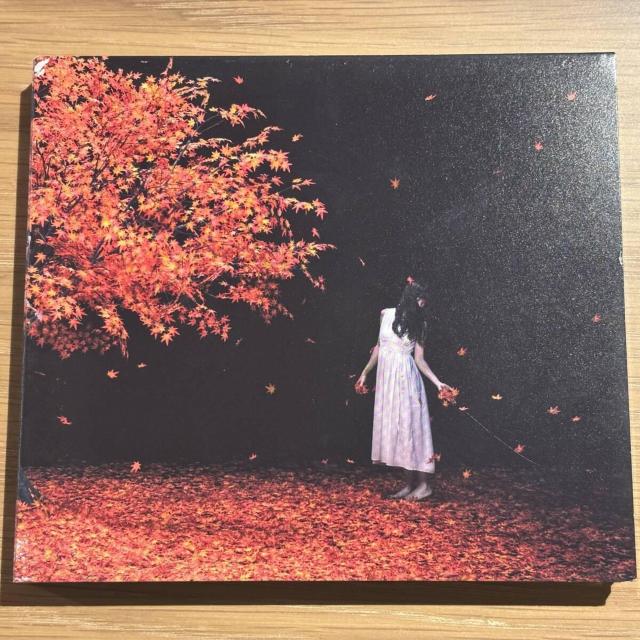 �yAimer�z������/everlasting snow (DVD�t��)  �� CD/DVD/�r�f�I�� 