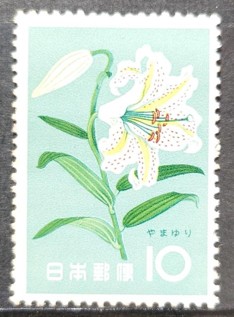 日本郵便 日本の切手 未使用切手 記念切手 花シリーズ 1961年 7月 ヤマユリ 山百合 やまゆり 額面10円 < ホビー 日本郵便 日本の切手 未使用切手 記念切手 花シリーズ 1961年 7月 ヤマユリ 山百合 やまゆり 額面10円 < ホビーの