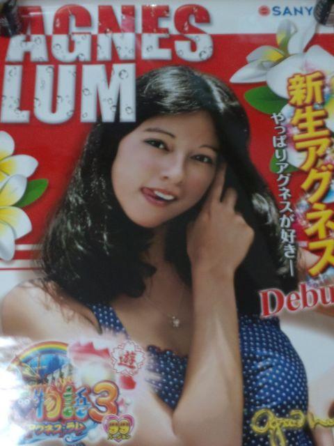 【パチンコ 大海物語3 Withアグネス・ラム】非売品ポスター < ホビー  【パチンコ 大海物語3 Withアグネス・ラム】非売品ポスター < ホビーの