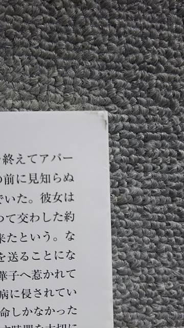☆かささぎの計略 才羽楽 < 本/雑誌 ☆かささぎの計略 才羽楽 < 本/雑誌の