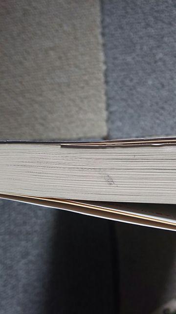 ☆かささぎの計略 才羽楽 < 本/雑誌 ☆かささぎの計略 才羽楽 < 本/雑誌の