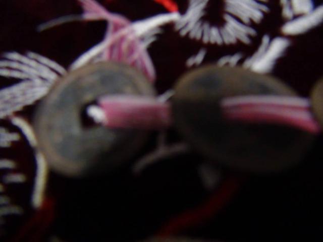 ÑK iʕ w lK8 !!  zr[ 