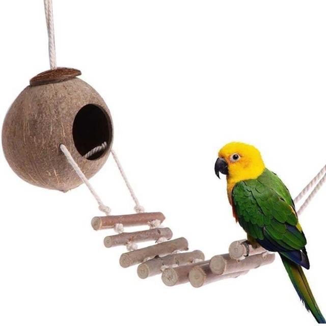 ペット 用品 ペットハウス ココナッツシェルハウス 鳥かご 巣穴 はしご 隠れ家 < ペット/手芸/園芸 ペット 用品 ペットハウス ココナッツシェルハウス 鳥かご 巣穴 はしご 隠れ家 < ペット/手芸/園芸の