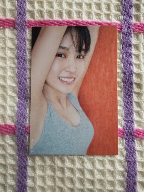 T؍46  y  |XgJ[h   ^gObY 