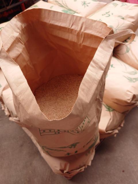 青森県弘前産の令和7年産「 まっしぐら」玄米20kgです。農家直送 < グルメ/ドリンク 青森県弘前産の令和7年産「 まっしぐら」玄米20kgです。農家直送 < グルメ/ドリンクの