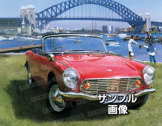 �V�i���N�b�V�����J�o�[���z���_S600 �� �C���e���A/���C�t�� 