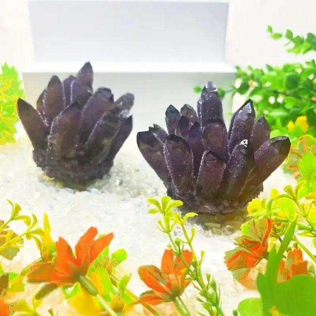 �A���W�X�g�A���V�X�g�Y��ȃN�H�[�c�N���X�^�[���i���N���X�^����������  �� �y�b�g/��|/���|�� 