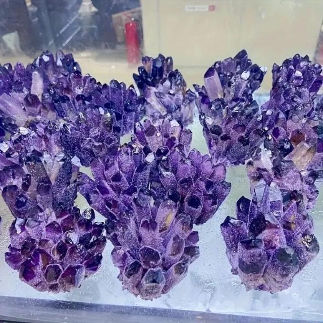 �A���W�X�g�A���V�X�g�Y��ȃN�H�[�c�N���X�^�[���i���N���X�^���������� �� �y�b�g/��|/���|�� 