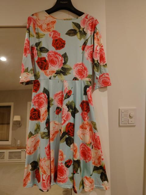 ���F�s���N�ԕ��~�j�����s�[�X�@�M�T�C�Y  �� �����t�@�b�V������ 