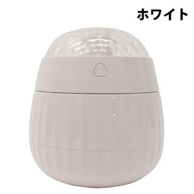 LEDC~l[VŌƂ邨wt@^W[Ax  CeA/Ct 