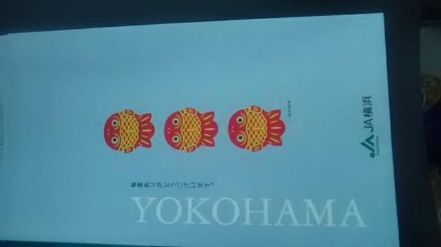 JA横浜、封筒10枚新品 < ホビー JA横浜、封筒10枚新品 < ホビーの