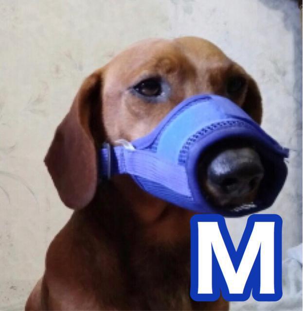 犬用 口輪 無駄吠えに ブルーM < ペット/手芸/園芸  犬用 口輪 無駄吠えに ブルーM  < ペット/手芸/園芸の