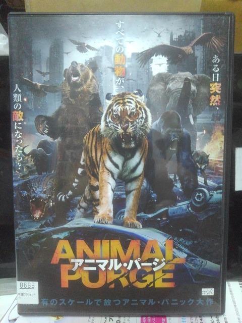 アニマルパージ < CD/DVD/ビデオ アニマルパージ < CD/DVD/ビデオの