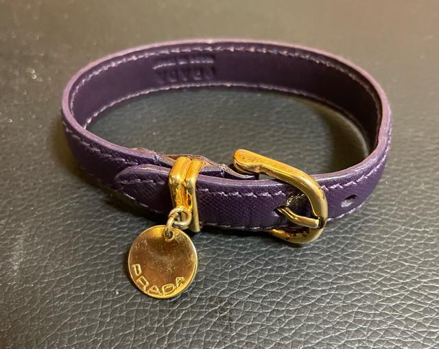 1�X�^ �����A���v���_�@���U�[�u���X���b�g 