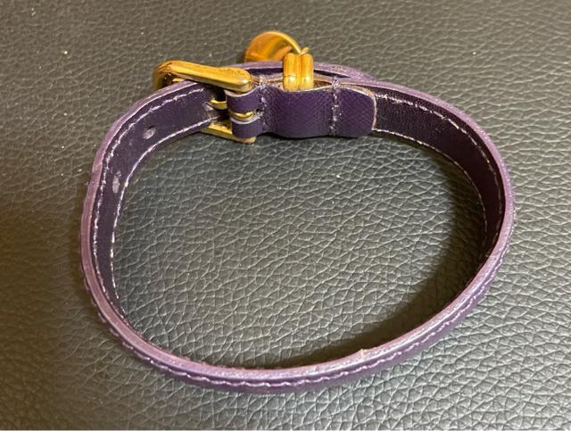 1�X�^ �����A���v���_�@���U�[�u���X���b�g