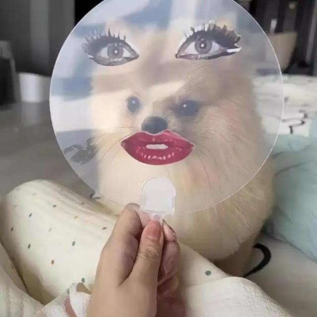 Xi490~4_Zbg g ʔ o[` GNXvbV ܂肽ݐq ԂO Ί    