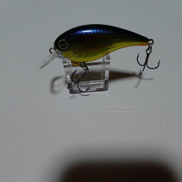 サラモアクランク1 < レジャー/スポーツ サラモアクランク1 < レジャー/スポーツの