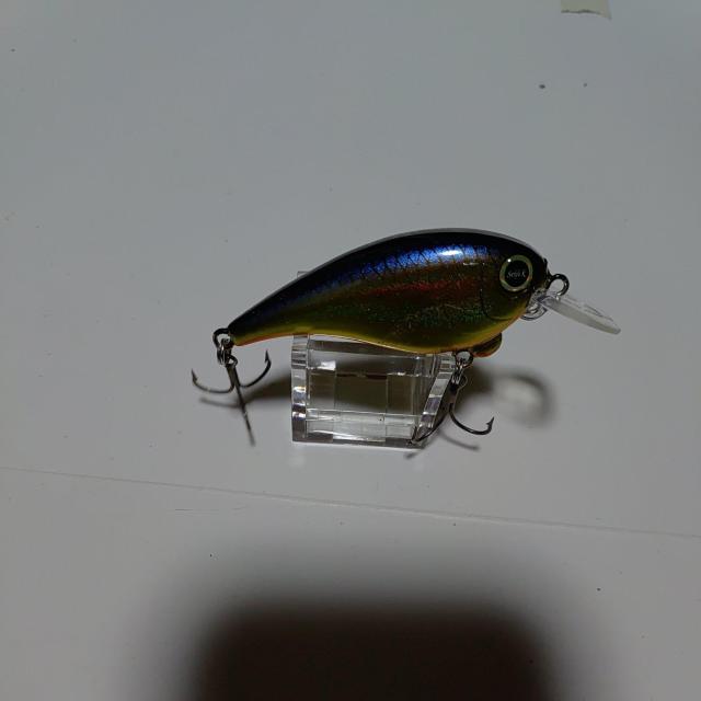 サラモアクランク1 < レジャー/スポーツ サラモアクランク1 < レジャー/スポーツの