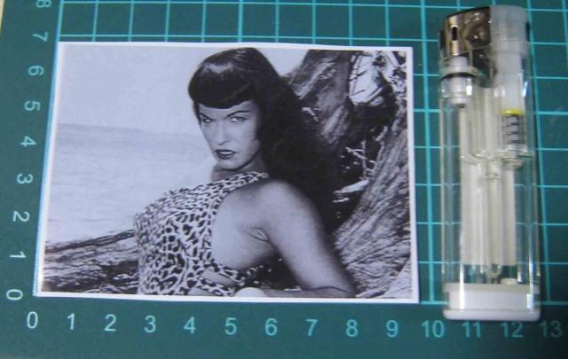 �x�e�B�y�C�W�@�q���E���@�唻�X�e�b�J�[  �� �z�r�[�� 