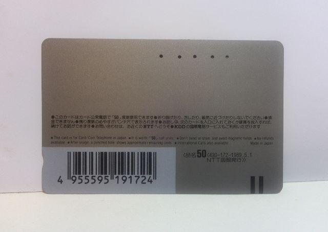 ٘Hʓd gpσezJ[h  `Pbg/ 