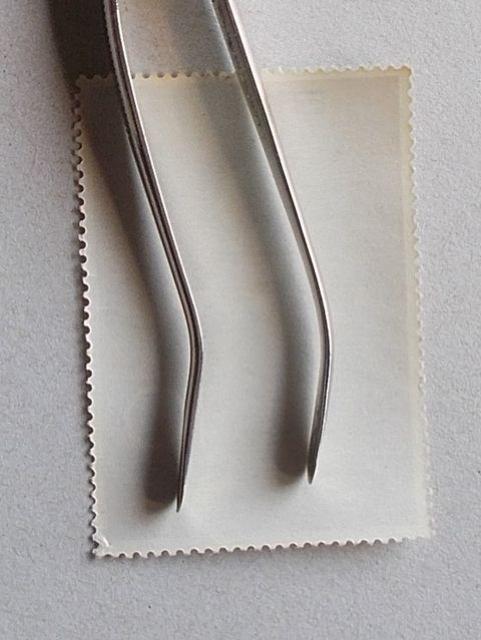 【未使用】1962年 切手趣味週間 花下遊楽図 1枚 < ホビー  【未使用】1962年 切手趣味週間 花下遊楽図 1枚 < ホビーの